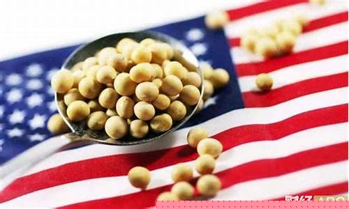 中国美国大豆期货(美国大豆期货最新价格)_https://www.lclxwz.com_上期所_第1张