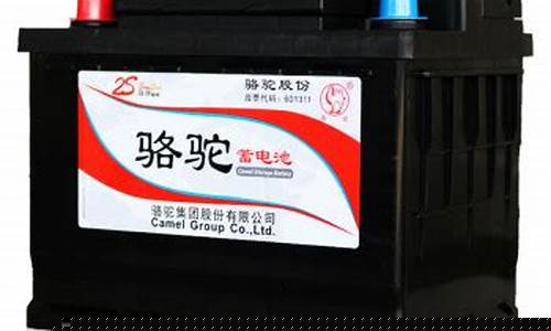 正品骆驼电瓶生产厂家(骆驼电瓶是哪个厂家生产的)_https://www.lclxwz.com_大商所_第1张