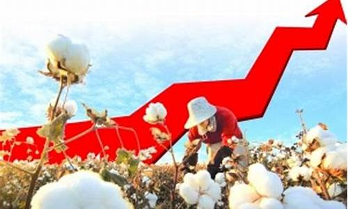 广发期货助力新疆棉花发展(广发期货股份有限公司)_https://www.lclxwz.com_广期所_第1张