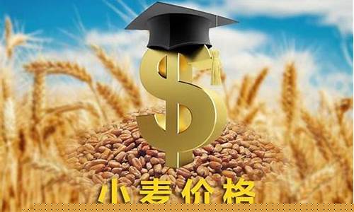 今日小麦期货价格行情走势(小麦期货价格行情今日大幅震荡)_https://www.lclxwz.com_上期能源_第1张