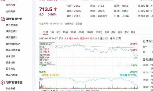 铁矿石期货行情今日价格(铁矿石期货行情今日价格查询)_https://www.lclxwz.com_上期能源_第1张