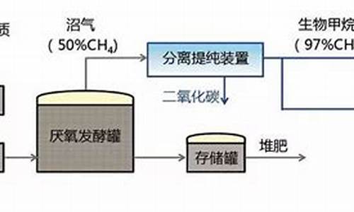 生物甲烷期货行情(生物甲烷期货行情走势)_https://www.lclxwz.com_大商所_第1张