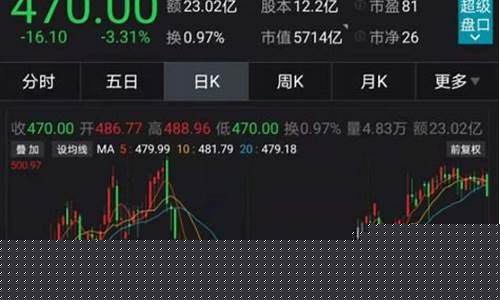 龙头股中的白马股有哪些(什么是龙头股白马股蓝筹股)_https://www.lclxwz.com_大商所_第1张