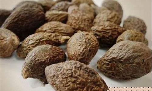 胖大海涨价原因分析(胖大海很贵吗)_https://www.lclxwz.com_大商所_第1张