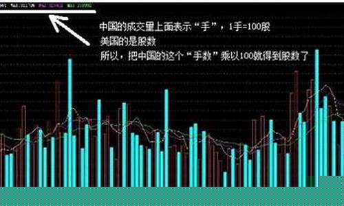 股票里面最重要的一个指标是什么(股票里停牌是什么意思啊)_https://www.lclxwz.com_大商所_第1张