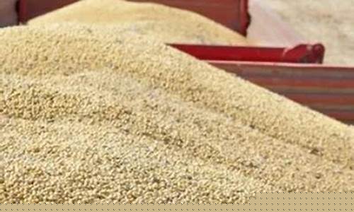 豆粕批发(豆粕批发价)_https://www.lclxwz.com_郑商所_第1张