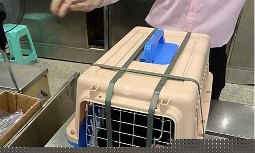 航空公司托运猫的注意事项(航空公司托运行李箱尺寸要求)_https://www.lclxwz.com_上期所_第1张