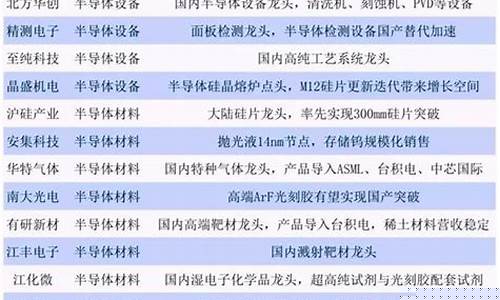 半导体芯片龙头股票代码是多少(半导体芯片材料龙头股票有哪些)_https://www.lclxwz.com_广期所_第1张
