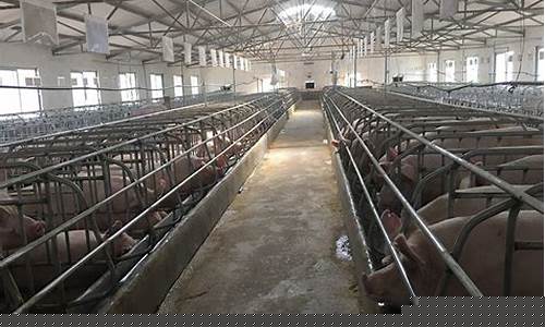 生猪交易网(生猪交易网平台)_大商所_第1张_财经网 生猪交易网(生猪交易网平台)_https://www.lclxwz.com_大商所_第1张