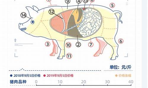 2019猪肉价历史最高(2019年猪肉最贵价格是多少一斤)_https://www.lclxwz.com_广期所_第1张