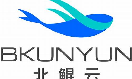 深圳北鲲云计算有限公司(北鲲云招聘)_https://www.lclxwz.com_大商所_第1张