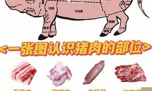 猪肉最好吃的十大排名(中国最好吃的猪肉品种)_https://www.lclxwz.com_大商所_第1张