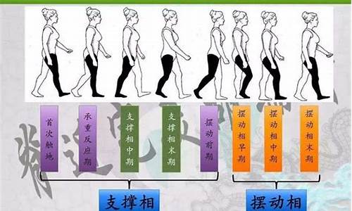步行周期的八个时期(步行周期的八个时期是多少)_郑商所_第1张_财经网 步行周期的八个时期(步行周期的八个时期是多少)_https://www.lclxwz.com_郑商所_第1张