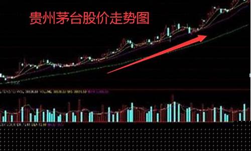 白马蓝筹龙头股有哪些(白马蓝筹股是什么意思)_https://www.lclxwz.com_大商所_第1张