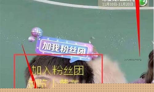 财经直播如何留人(财经直播如何留人进来)_https://www.lclxwz.com_中金所_第1张