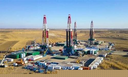 大庆二十五亿吨原油誓师大会直播(大庆累计生产原油27亿吨)_https://www.lclxwz.com_上期能源_第1张