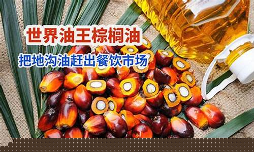 棕榈油期货最新直播时间(棕榈油期货交易时间)_https://www.lclxwz.com_上期能源_第1张