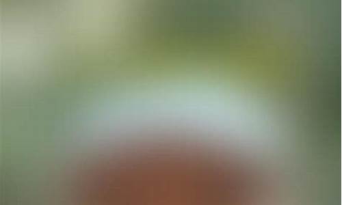 说财经直播间(股票财经直播间)(一富财经股票直播间)_https://www.lclxwz.com_上期能源_第1张