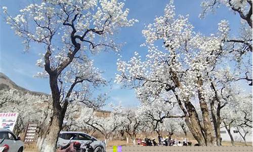 同程财经直播在哪里看(同程财经直播在哪里看到)(同程财务)_https://www.lclxwz.com_郑商所_第1张