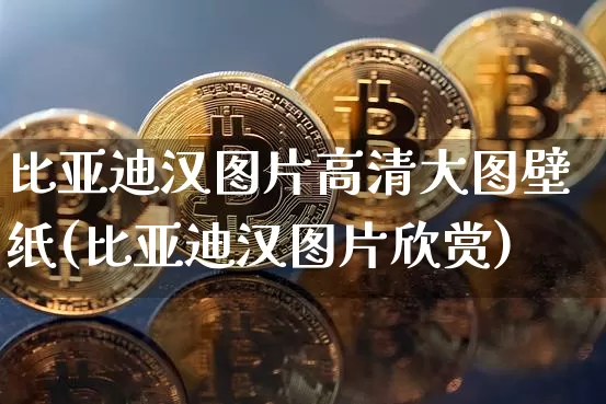 比亚迪汉图片高清大图壁纸(比亚迪汉图片欣赏)_https://www.lclxwz.com_广期所_第1张