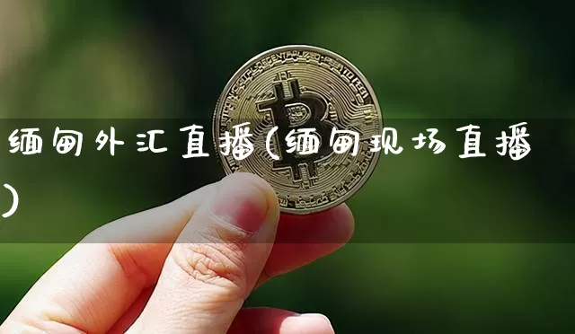 缅甸外汇直播(缅甸现场直播)_https://www.lclxwz.com_郑商所_第1张