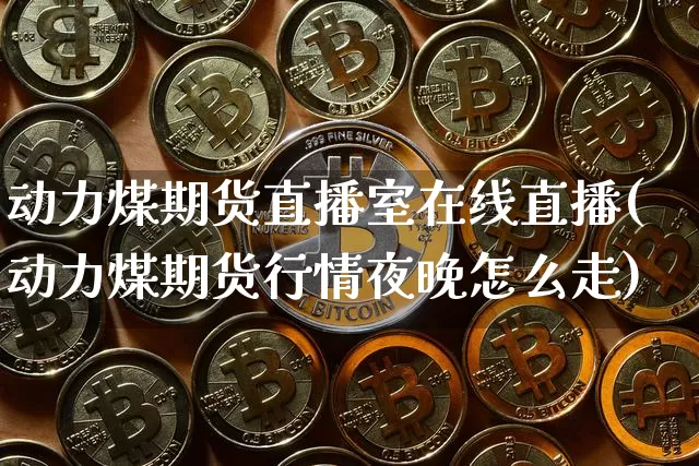 动力煤期货直播室在线直播(动力煤期货行情夜晚怎么走)_https://www.lclxwz.com_中金所_第1张