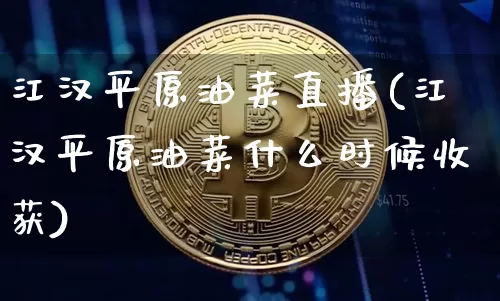 江汉平原油菜直播(江汉平原油菜什么时候收获)_https://www.lclxwz.com_郑商所_第1张