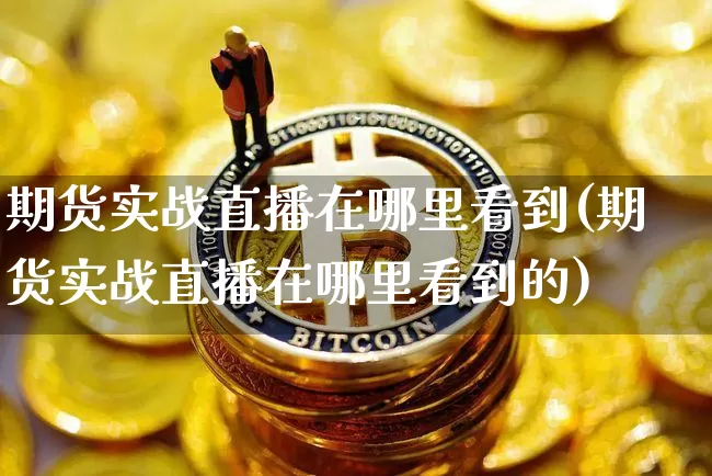 期货实战直播在哪里看到(期货实战直播在哪里看到的)_https://www.lclxwz.com_大商所_第1张