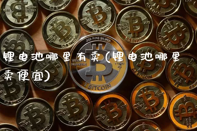 锂电池哪里有卖(锂电池哪里卖便宜)_https://www.lclxwz.com_大商所_第1张