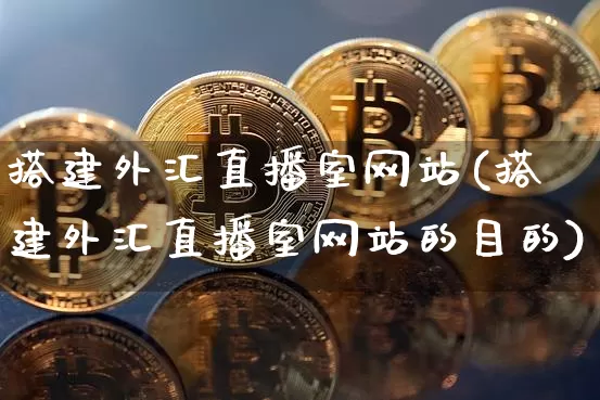 搭建外汇直播室网站(搭建外汇直播室网站的目的)_https://www.lclxwz.com_上期能源_第1张