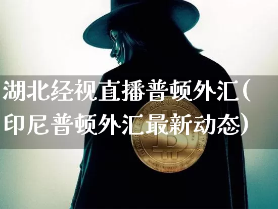 湖北经视直播普顿外汇(印尼普顿外汇最新动态)_https://www.lclxwz.com_大商所_第1张