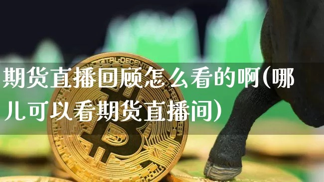 期货直播回顾怎么看的啊(哪儿可以看期货直播间)_https://www.lclxwz.com_上期所_第1张