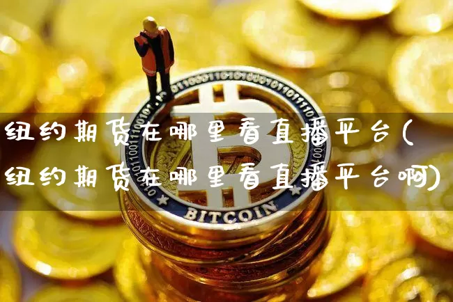 纽约期货在哪里看直播平台(纽约期货在哪里看直播平台啊)_https://www.lclxwz.com_郑商所_第1张