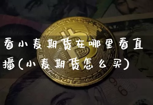 看小麦期货在哪里看直播(小麦期货怎么买)_https://www.lclxwz.com_中金所_第1张