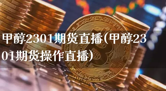 甲醇2301期货直播(甲醇2301期货操作直播)_https://www.lclxwz.com_上期能源_第1张
