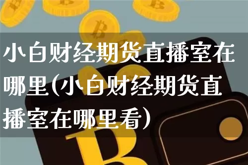 小白财经期货直播室在哪里(小白财经期货直播室在哪里看)_https://www.lclxwz.com_郑商所_第1张