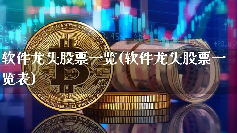 软件龙头股票一览(软件龙头股票一览表)_https://www.lclxwz.com_上期所_第1张