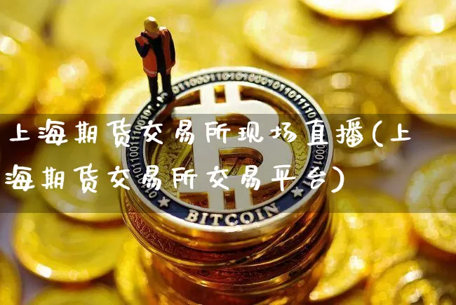 上海期货交易所现场直播(上海期货交易所交易平台)_https://www.lclxwz.com_中金所_第1张