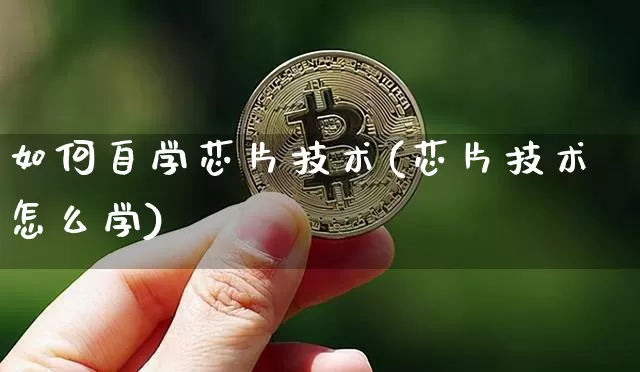 如何自学芯片技术(芯片技术怎么学)_https://www.lclxwz.com_上期所_第1张