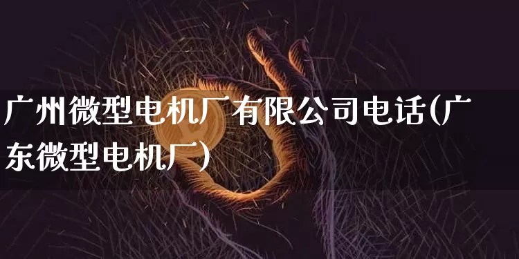 广州微型电机厂有限公司电话(广东微型电机厂)_https://www.lclxwz.com_郑商所_第1张