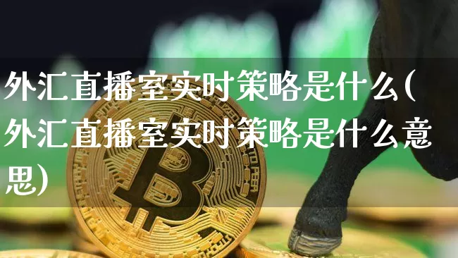 外汇直播室实时策略是什么(外汇直播室实时策略是什么意思)_https://www.lclxwz.com_上期能源_第1张