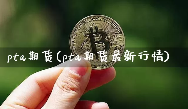 pta期货(pta期货最新行情)_https://www.lclxwz.com_大商所_第1张