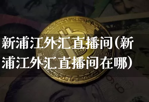 新浦江外汇直播间(新浦江外汇直播间在哪)_https://www.lclxwz.com_郑商所_第1张