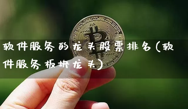 软件服务的龙头股票排名(软件服务板块龙头)_https://www.lclxwz.com_大商所_第1张