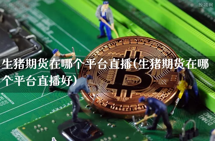 生猪期货在哪个平台直播(生猪期货在哪个平台直播好)_https://www.lclxwz.com_上期所_第1张