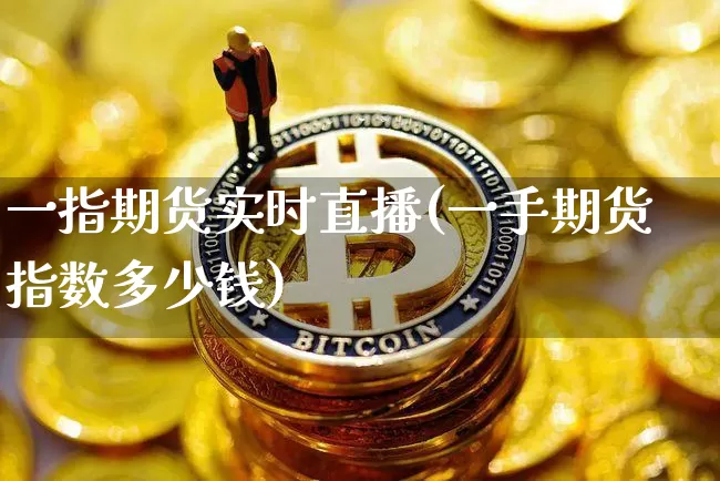 一指期货实时直播(一手期货指数多少钱)_https://www.lclxwz.com_中金所_第1张