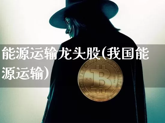 能源运输龙头股(我国能源运输)_https://www.lclxwz.com_上期所_第1张