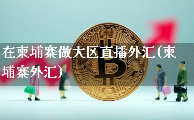 在柬埔寨做大区直播外汇(柬埔寨外汇)_https://www.lclxwz.com_郑商所_第1张