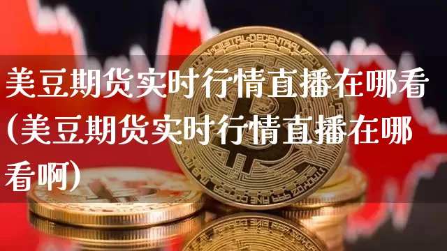 美豆期货实时行情直播在哪看(美豆期货实时行情直播在哪看啊)_https://www.lclxwz.com_郑商所_第1张