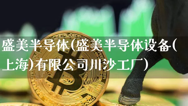 盛美半导体(盛美半导体设备(上海)有限公司川沙工厂)_https://www.lclxwz.com_广期所_第1张